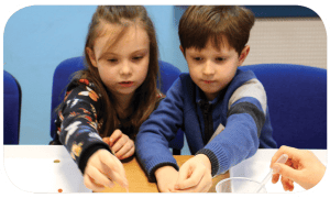 Półkolonie dla 7-9 latków pt. „Szyfry i skarby” oraz „roboty Lego” od 27.06 do 01.07. 2022 r.