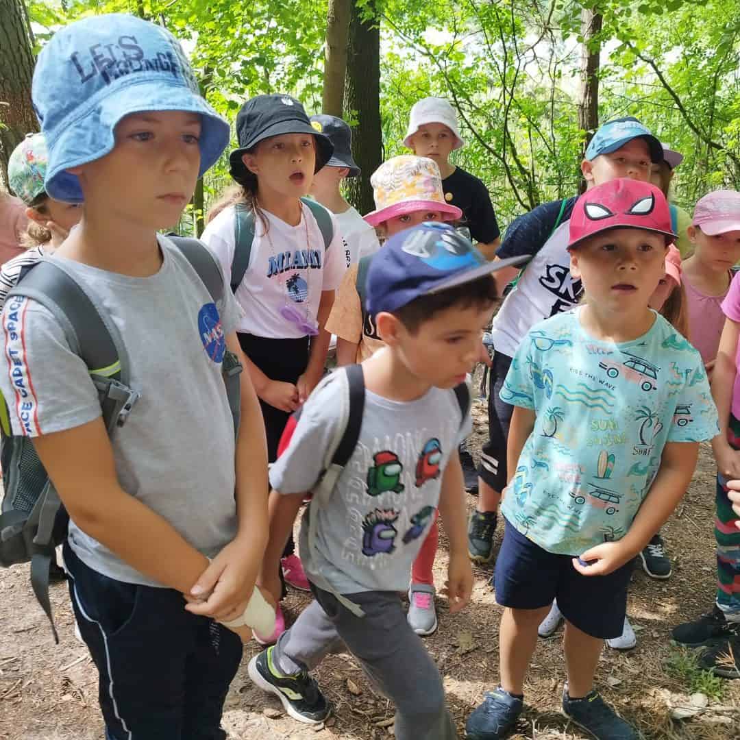 zdjęcie w karuzeli